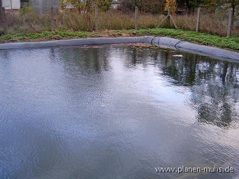 plane_teich014.JPG